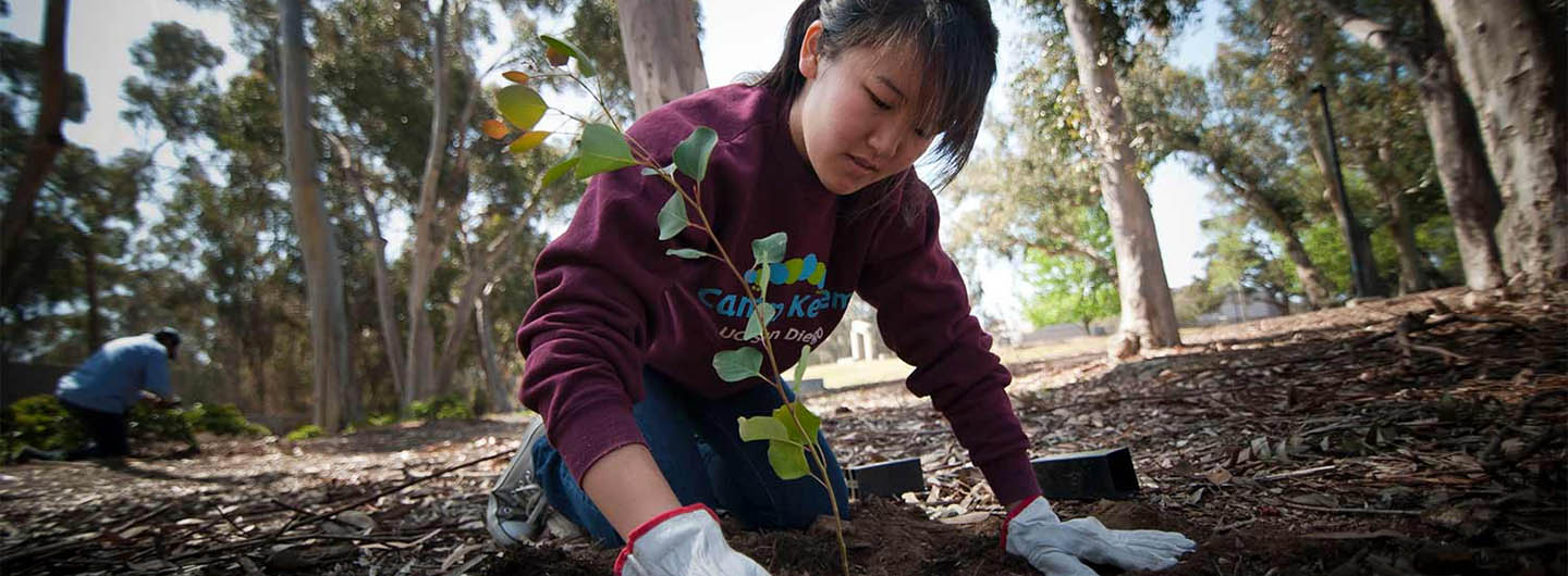UC San Diego student plants a tree while working on a community service project