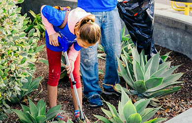 UC San Diego students participate in a day of service - two students plant aloes on a local public school campus